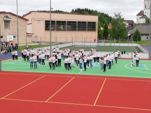 cetvorka, foto G Vovk (5)